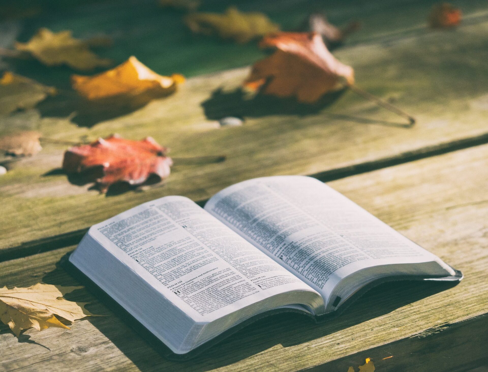 fos biblical counseling aspect ratio 420 320