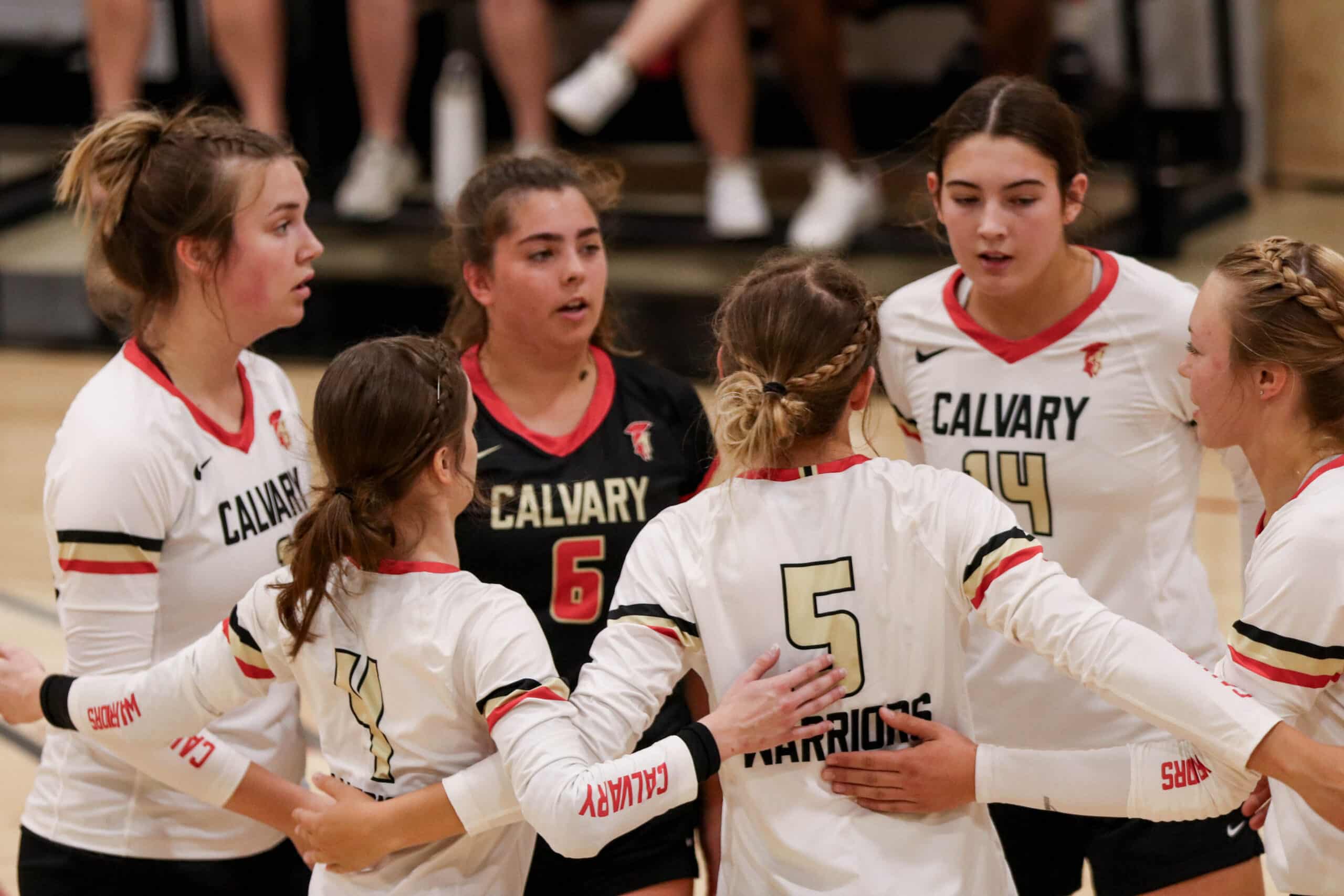 CALU segment womens vollyball scaled aspect ratio 300 200